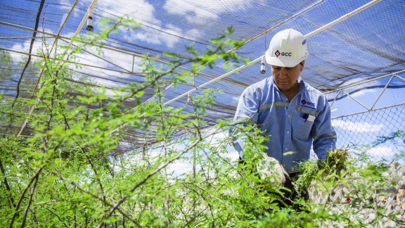 GCC - Sustainability