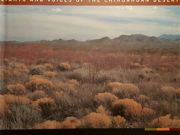 Light and Voices of the Chihuahua Desert