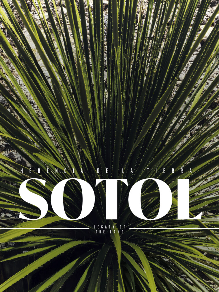Sotol, Herencia de la Tierra