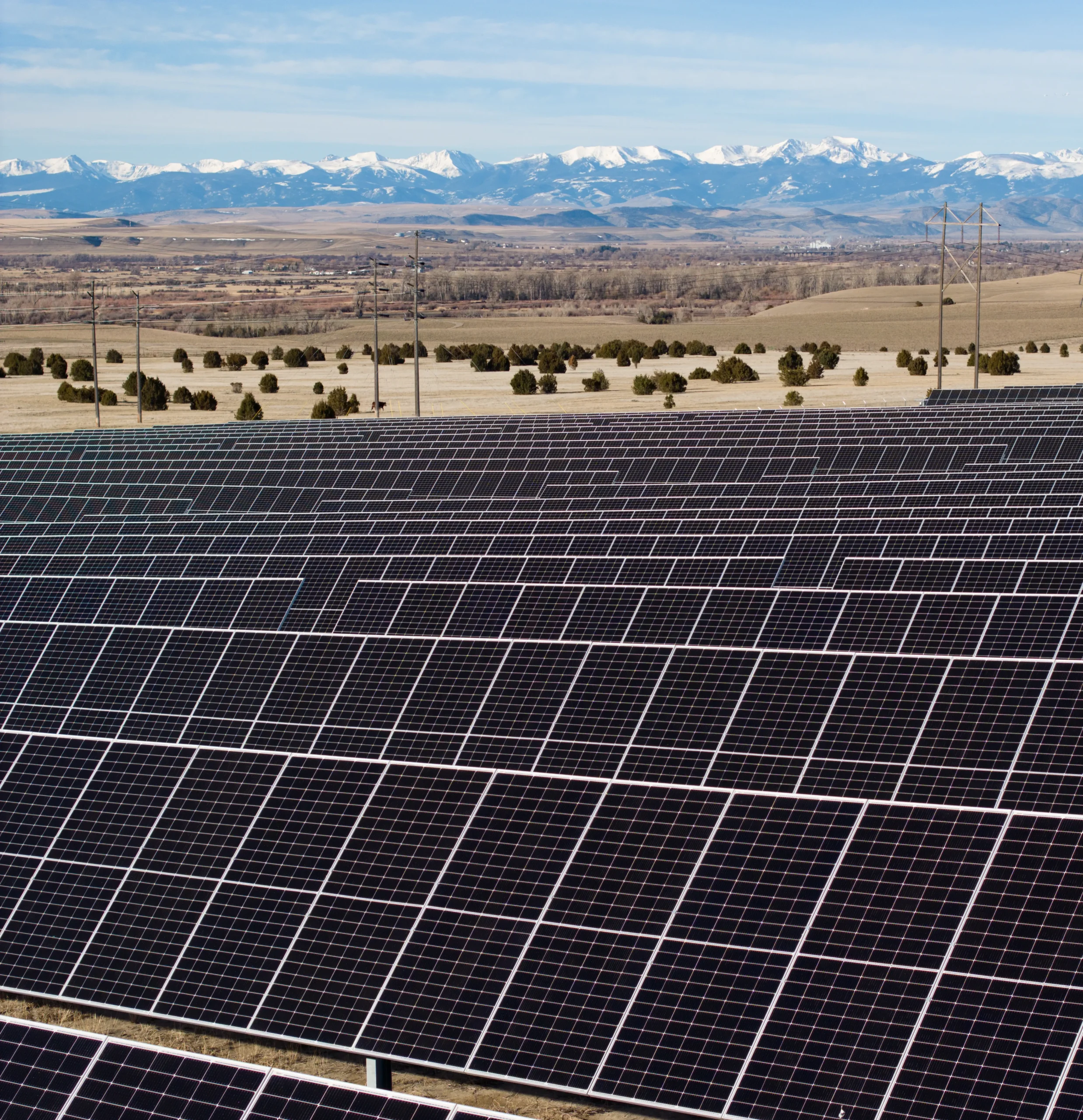 Cement  Environmental Product Declarations